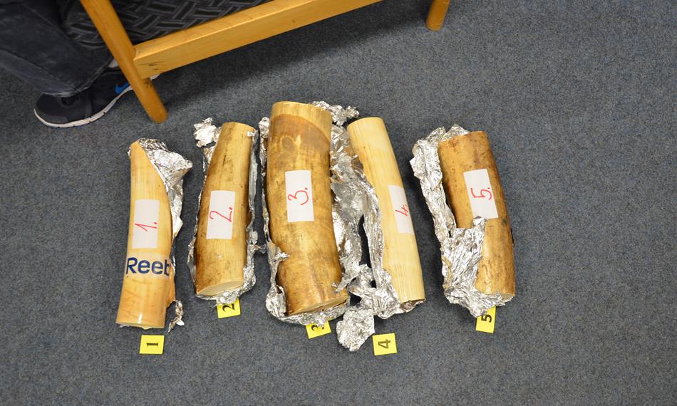 2014-6-16-1118kly 2.jpg